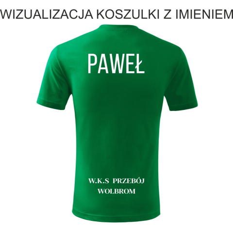 WKS PRZEBÓJ WOLBROM Koszulka Treningowa Zielona Senior