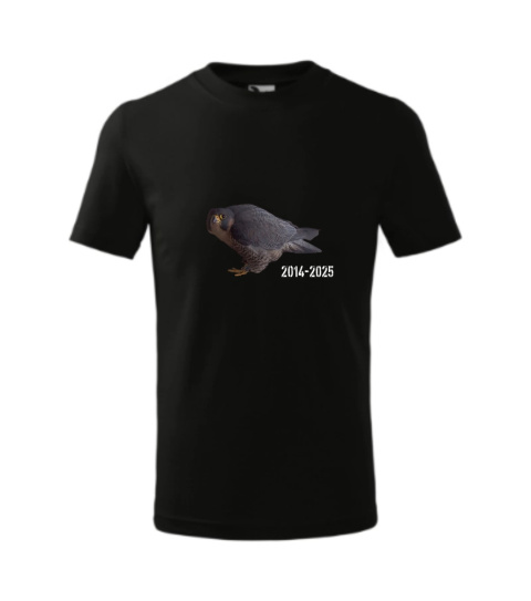 SOKOLE OKO KOSZULKA MĘSKA WROTKA - ROK