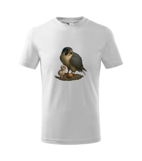 SOKOLE OKO KOSZULKA MĘSKA WROTKA & GWIZDEK 1