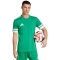 Koszulka męska adidas Squadra 25 JN7485 zielono-biała