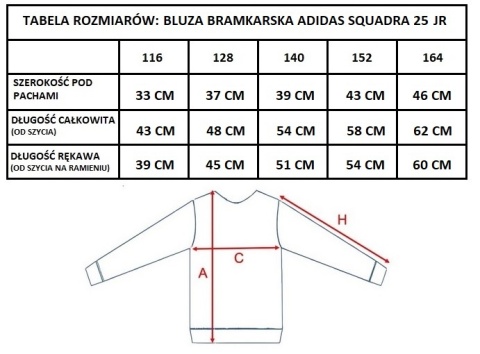 APN CZELADŹ BLUZA BRAMKARSKA adidas Squadra 25 Junior