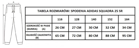 KP DĄB DOBROSZYCE Spodnie dla dzieci adidas Squadra 25 Training