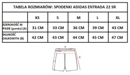 SPARTA KATOWICE SPODENKI adidas Entrada 22 SENIOR