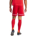 Spodenki męskie adidas Squadra 25 JN5466 czerwone