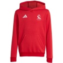 WOLANKA Bluza męska adidas Entrada 26 Hoody