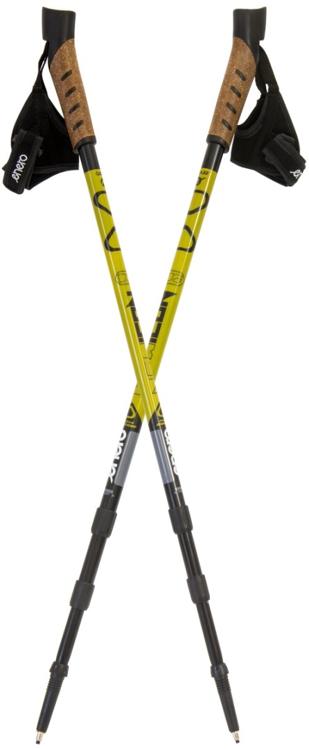 Kije Nordic Walking Enero NEWICON 110 - 135 cm