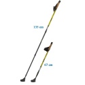 Kije Nordic Walking Enero NEWICON 110 - 135 cm