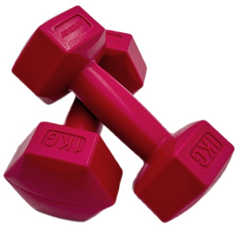 Zestaw Hantli Kompozytowych 2x1 Kg ENERO FIT