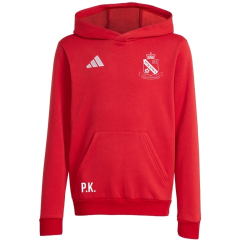 WOLANKA Bluza dla dzieci adidas Entrada 26 Hoody