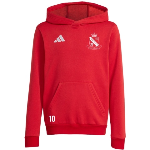 WOLANKA Bluza dla dzieci adidas Entrada 26 Hoody