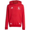 WOLANKA Bluza męska adidas Entrada 26 Hoody